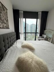 Normanton Park (D5), Apartment #556168191
